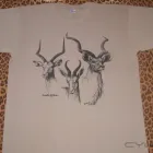 Business 10 image A HERITAGE OF AFRICAN CLOTHING C.C Wildlife T-Shirts in Kempton Park GP