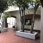 Maatskappy 3 beeld ABBOTTS COLLEGE RONDEBOSCH Secondary Schools in Cape Town WC