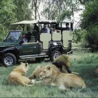 Maatskappy 1 beeld AFRICAN BUDGET SAFARIS Southern Africa travel deals in Cape Town WC