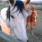 Business 3 image AMANI BOUTIQUE HOTEL & CONFERENCE CENTRE Hotel in Lydenburg MP