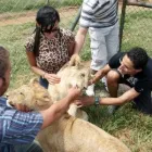 Maatskappy 1 beeld ARROW ROUTES CC Transportation Services in Potchefstroom NW