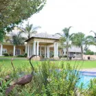 Maatskappy 5 beeld ATTACHE GUEST LODGE & HEALTH SPA Hotels And Lodges in Midrand GP