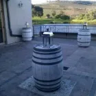 Business 2 image AUTHENTIC PLANNING Wedding Planner in Cape Town WC