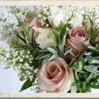 Business 7 image AUTHENTIC PLANNING Wedding Planner in Cape Town WC