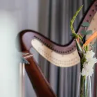 Maatskappy 4 beeld AVONDALE HARP ENTERPRISES Musical Instruments in Randburg GP