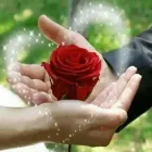 Business 8 image BACK TO OUR ROOTS DR FARUKU HERBALIST HEALER & FOTUNE TELLER !! Wealth Spells Online in Germiston GP