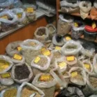 Business 20 image BACK TO OUR ROOTS DR FARUKU HERBALIST HEALER & FOTUNE TELLER !! Wealth Spells Online in Germiston GP