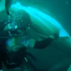 Business 1 image BELLANIQUE JEWELLERY Jewellery in Brakpan GP