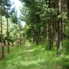 Maatskappy 1 beeld BIG SKY TRADING Wood in Hillcrest KZN