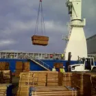 Maatskappy 4 beeld BIG SKY TRADING Wood in Hillcrest KZN
