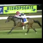 Business 8 image BISHOPSGATE RACING AND SPORT PUB Tattersalls in Durban KZN