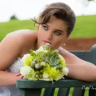 Business 1 image BRING TO LIFE EVENTS Year End in Kempton Park GP