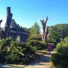 Maatskappy 4 beeld BUDGETTREEFELLERS Tree Felling in Port Elizabeth EC