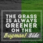 Business 6 image BUGMAN PEST CONTROL Weevil in Johannesburg GP