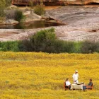 Business 4 image BUSHMANS KLOOF WILDERNESS RESERVE AND WELLNESS RETREAT wilderness reserve south africa in Clanwilliam WC