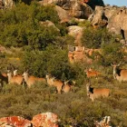 Business 19 image BUSHMANS KLOOF WILDERNESS RESERVE AND WELLNESS RETREAT wilderness reserve south africa in Clanwilliam WC