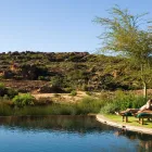 Business 32 image BUSHMANS KLOOF WILDERNESS RESERVE AND WELLNESS RETREAT wilderness reserve south africa in Clanwilliam WC