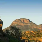 Business 44 image BUSHMANS KLOOF WILDERNESS RESERVE AND WELLNESS RETREAT wilderness reserve south africa in Clanwilliam WC