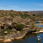 Business 54 image BUSHMANS KLOOF WILDERNESS RESERVE AND WELLNESS RETREAT wilderness reserve south africa in Clanwilliam WC