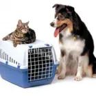 Maatskappy 3 beeld BUSYBEE REMOVALS Removals in Johannesburg GP