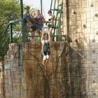 Maatskappy 15 beeld CAMPSITE VENUES Swimming in Pretoria GP