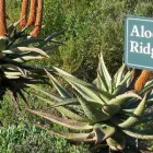 Maatskappy 1 beeld CARMEL COASTAL RETREAT - A CHRISTIAN HOLIDAY AND CONFERENCE CENTRE Self Catering in George WC