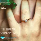 Maatskappy 2 beeld CG DIAMONDS Jewellery Retail Systems in Cape Town WC