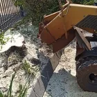 Maatskappy 1 beeld CLIMBING KAVIN TREE WORKS Tree Trimming in Pretoria GP