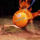 Maatskappy 5 beeld CLUSTER-WEST Tree Felling in Pretoria GP