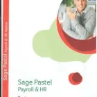 Business 5 image COMPUTER INTEGRATORS NELSPRUIT Payroll Services in Nelspruit MP