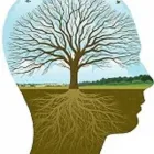 Maatskappy 1 beeld CRAIG M. TRAUB | CLINICAL PSYCHOLOGIST & CRIMINOLOGIST Psychologist in Sandton GP