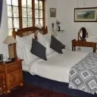 Maatskappy 1 beeld CRANE'S NEST GUEST HOUSE AT 212 Zoo in Pretoria GP