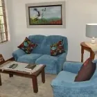 Maatskappy 13 beeld CRANE'S NEST GUEST HOUSE AT 212 Zoo in Pretoria GP
