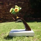 Maatskappy 3 beeld CREATIVE CONQUEROR Visual Stimulation in Cape Town WC