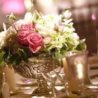 Business 2 image CREATIVE OCCASIONS & IDEAS Weddings in Boksburg GP