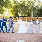 Business 5 image DE STALLEN Tourist Accomodation in Bloemfontein FS