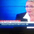 Maatskappy 1 beeld DE VRIES ATTORNEYS Maintenance in Johannesburg GP