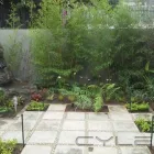 Business 24 image DESIGNER GARDENS LANDSCAPING Wooden Deck in Pretoria GP