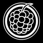 Maatskappy 6 beeld DIGITAL BERRY Vape Africa Electronic Cigarette in Cape Town WC