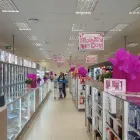 Maatskappy 4 beeld DIS-CHEM PHARMACY BLOEMFONTEIN - NORTHRIDGE MALL Vitamins in Bloemfontein FS