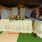Business 4 image DITIRO EVENTS AND DECOR Weddings in Kempton Park GP