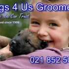 Maatskappy 3 beeld DOGS '4' US Pet Grooming in Cape Town WC