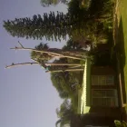 Business 2 image DUMP-IT Waste Disposal in Pretoria GP