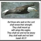 Business 1 image EAGLE TRANSCRIPTION & TRANSLATION SERVICES Work Guaranteed in Cape Town WC