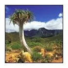 Business 1 image EBRAHIM'S TOURS AND TRAVEL Travel in Johannesburg GP