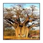 Business 3 image EBRAHIM'S TOURS AND TRAVEL Travel in Johannesburg GP