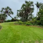 Maatskappy 1 beeld EDEN GARDENS GARDEN SERVICES Tree Felling in Margate KZN