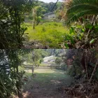 Maatskappy 4 beeld EDEN GARDENS GARDEN SERVICES Tree Felling in Margate KZN