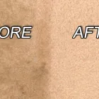 Maatskappy 8 beeld EDENVALE CLEANING SERVICE Rug Cleaning in Edenvale GP