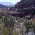 Maatskappy 5 beeld EDRIES EVENTS & LOGISTICAL SUPPORT SERVICES Event Organisers And Services in Cape Town WC